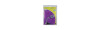 Faretto 1 LED - luce bianca fredda / blister 1