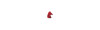 Rosetta dentata Carry-Bike - Rosso 1