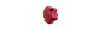 Pomello Carry-Bike - Rosso 1