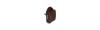 Push-Lock unilaterale marrone - blister 2