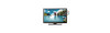TV LED 24" con DVB-T2 HEVC e DVD 1