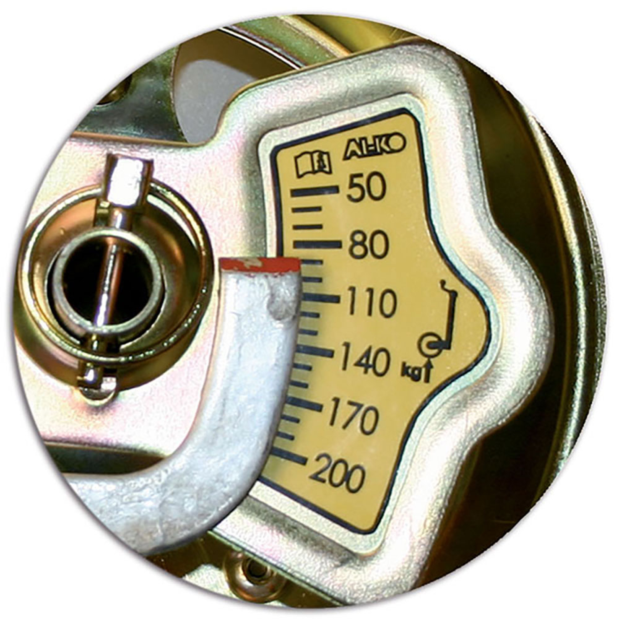 Ruotino Premium 300 kg indicatore carico 3